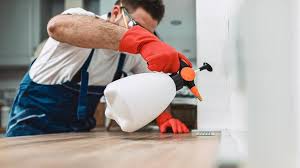 Real Estate Pest Inspections